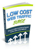 Thumbnail Low Cost Web Traffic PLR Ebook