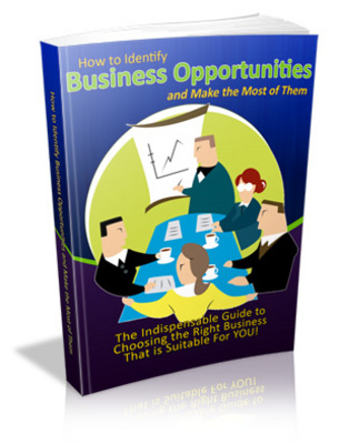 Product picture Identify Business Opportunities