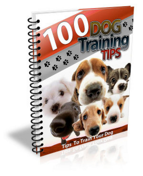 Product picture 100 Dog Training Tips Comes with Giveaway Rights