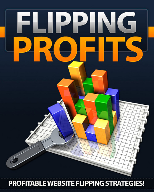 Product picture Flipping Profits Comes with Giveaway Rights